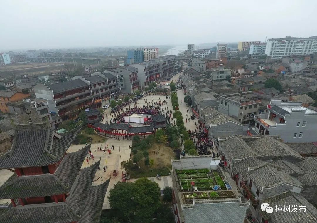 樟树的街巷名和老地名串联,樟树市原名及其历史由来