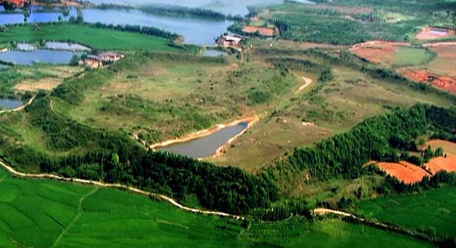 樟树的街巷名和老地名串联,樟树市原名及其历史由来