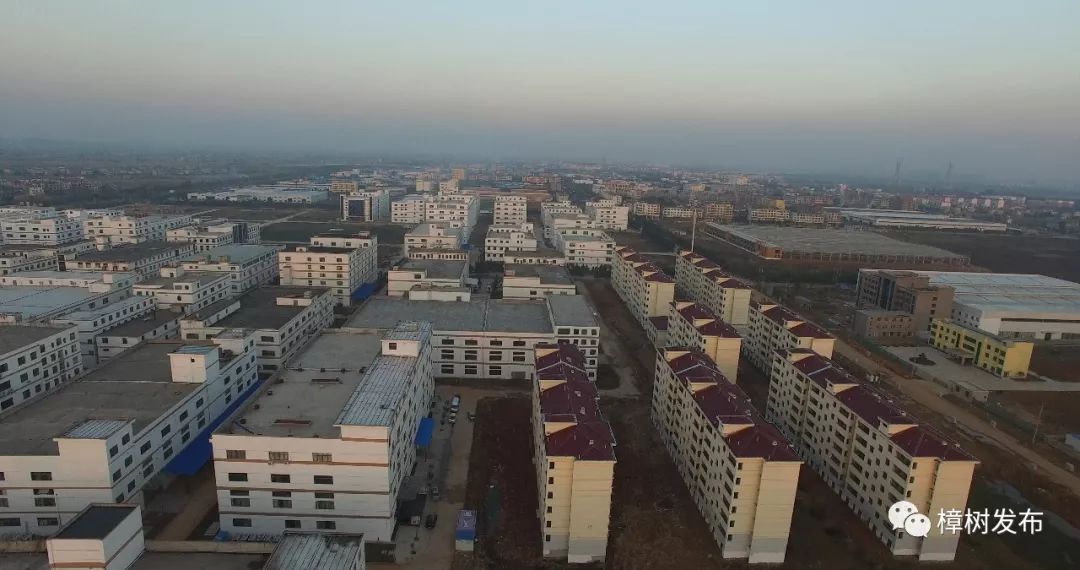 樟树的街巷名和老地名串联,樟树市原名及其历史由来