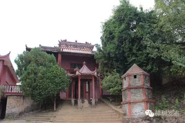 樟树的街巷名和老地名串联,樟树市原名及其历史由来