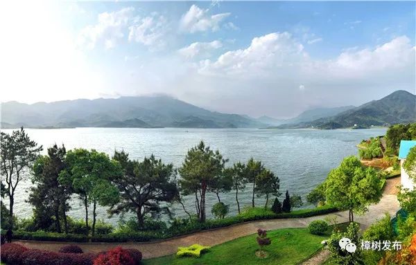 樟树的街巷名和老地名串联,樟树市原名及其历史由来