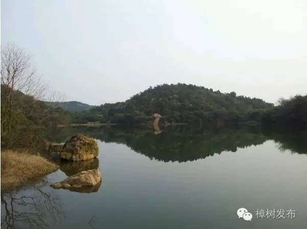 樟树的街巷名和老地名串联,樟树市原名及其历史由来