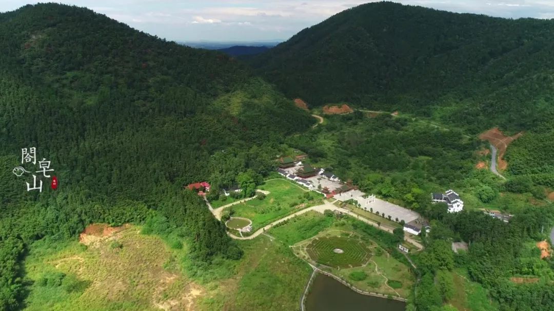 樟树的街巷名和老地名串联,樟树市原名及其历史由来