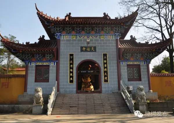 樟树的街巷名和老地名串联,樟树市原名及其历史由来