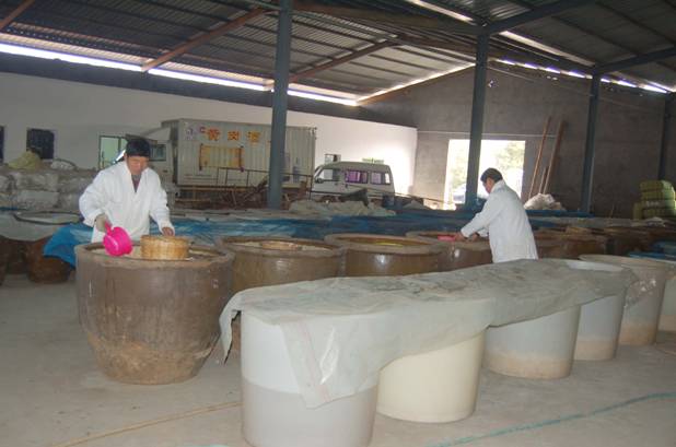 樟树的街巷名和老地名串联,樟树市原名及其历史由来