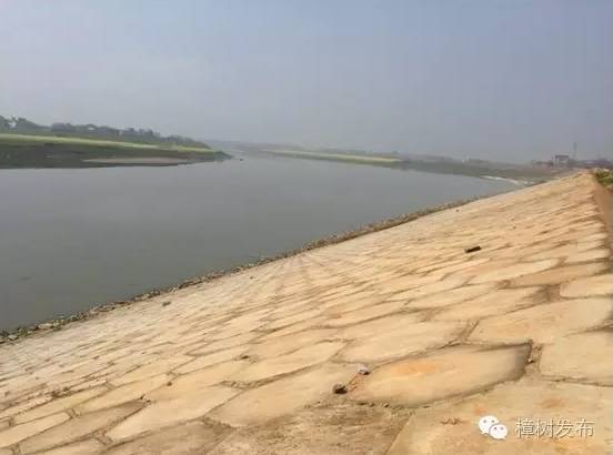 樟树的街巷名和老地名串联,樟树市原名及其历史由来