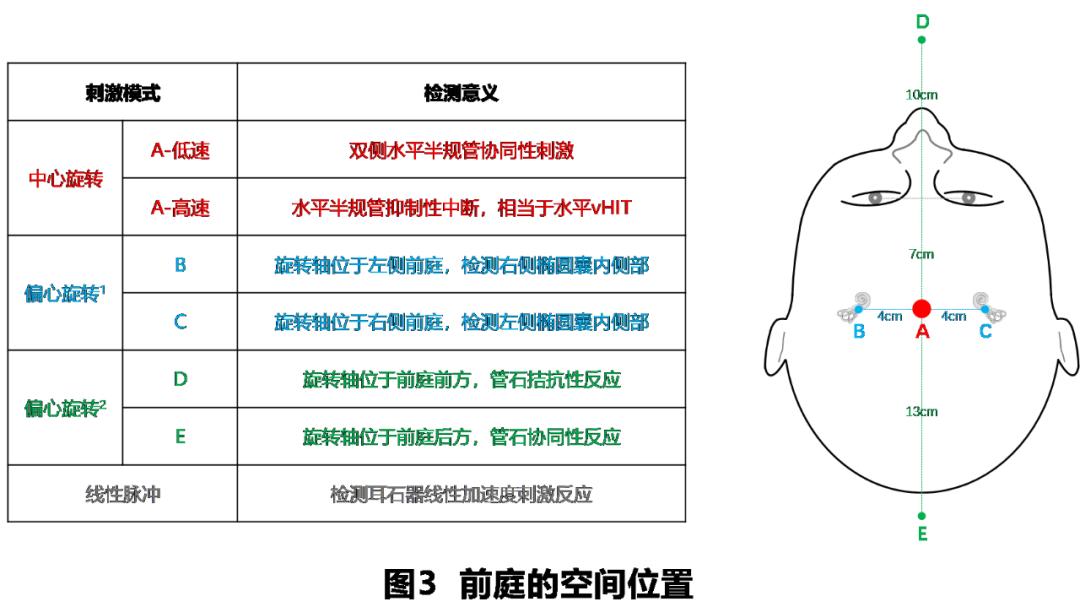 前庭性眩晕百科介绍,周围性眩晕和中枢性眩晕解剖基础