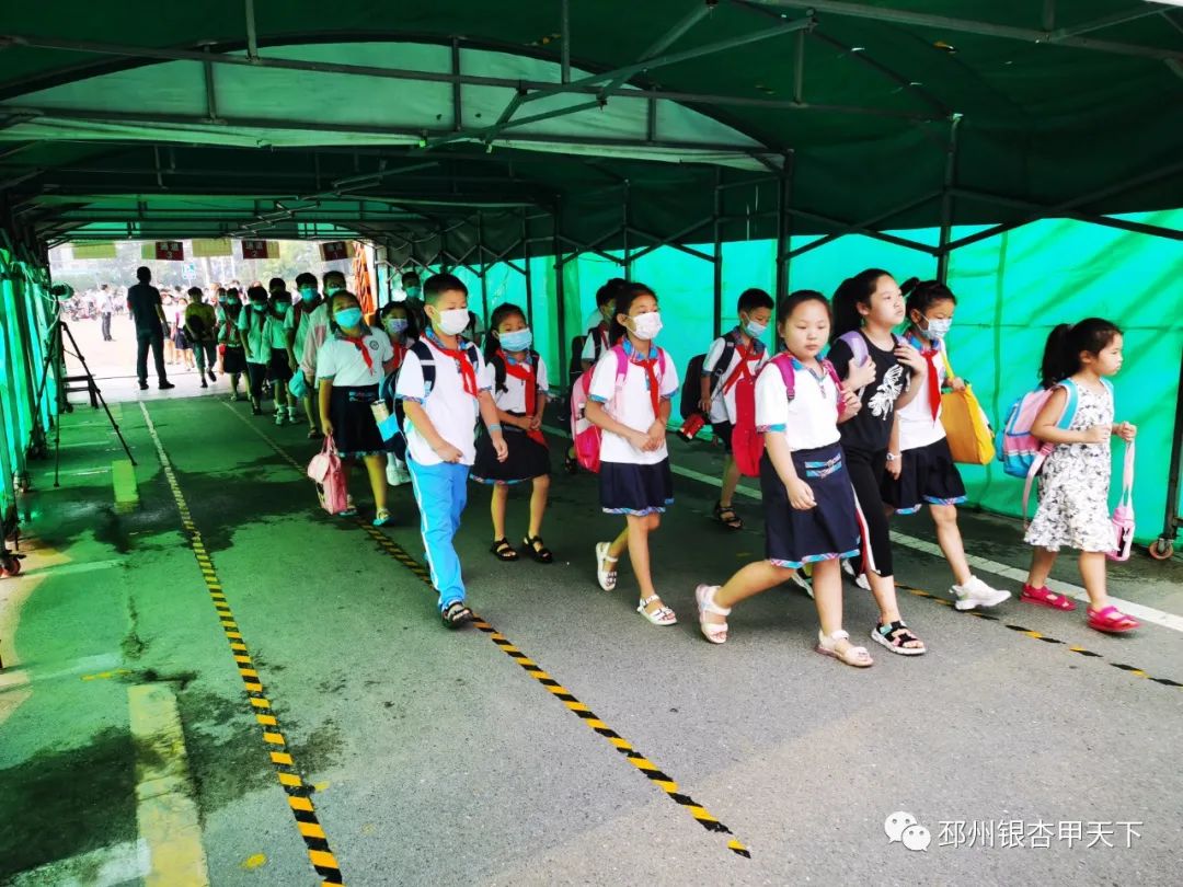 邳州市开学,邳州学校开学