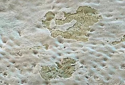 牙粉去烟渍牙结石牙膏排名第一名,美白牙膏推荐去牙黄老牌子