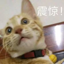 抢手机属于什么罪,抢手机视频大全