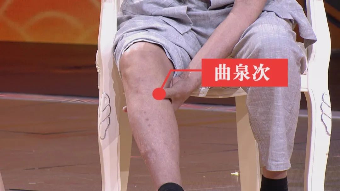 12月3日养生堂节目回放,养生堂视频疏利三焦护肾