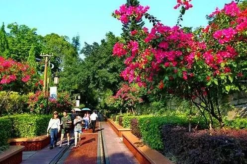 从山林睡到海边，厦门这些诗意栖息的好去处，现在拔草低至5折……