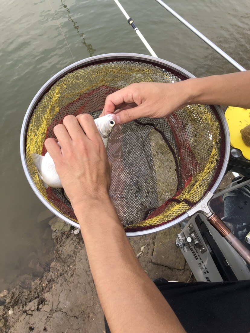 大风大浪钓大鱼完整视频,大风大浪钓大鱼是真的吗