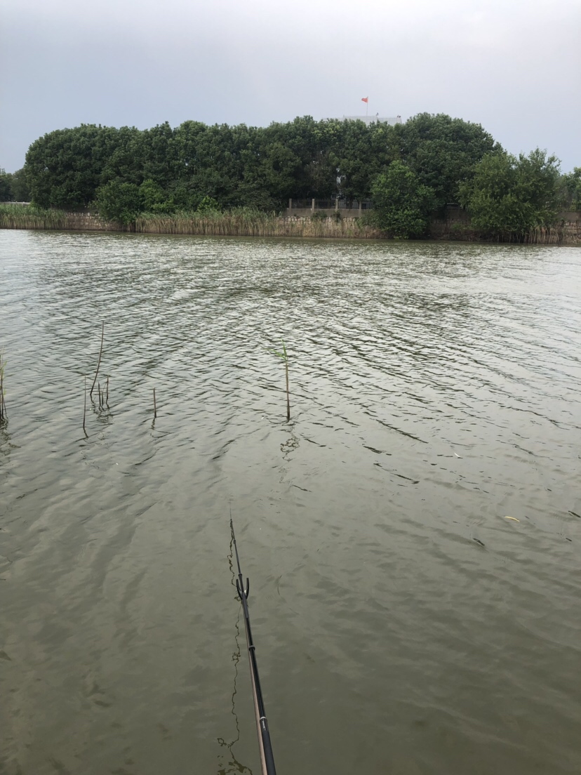 大风大浪钓大鱼完整视频,大风大浪钓大鱼是真的吗