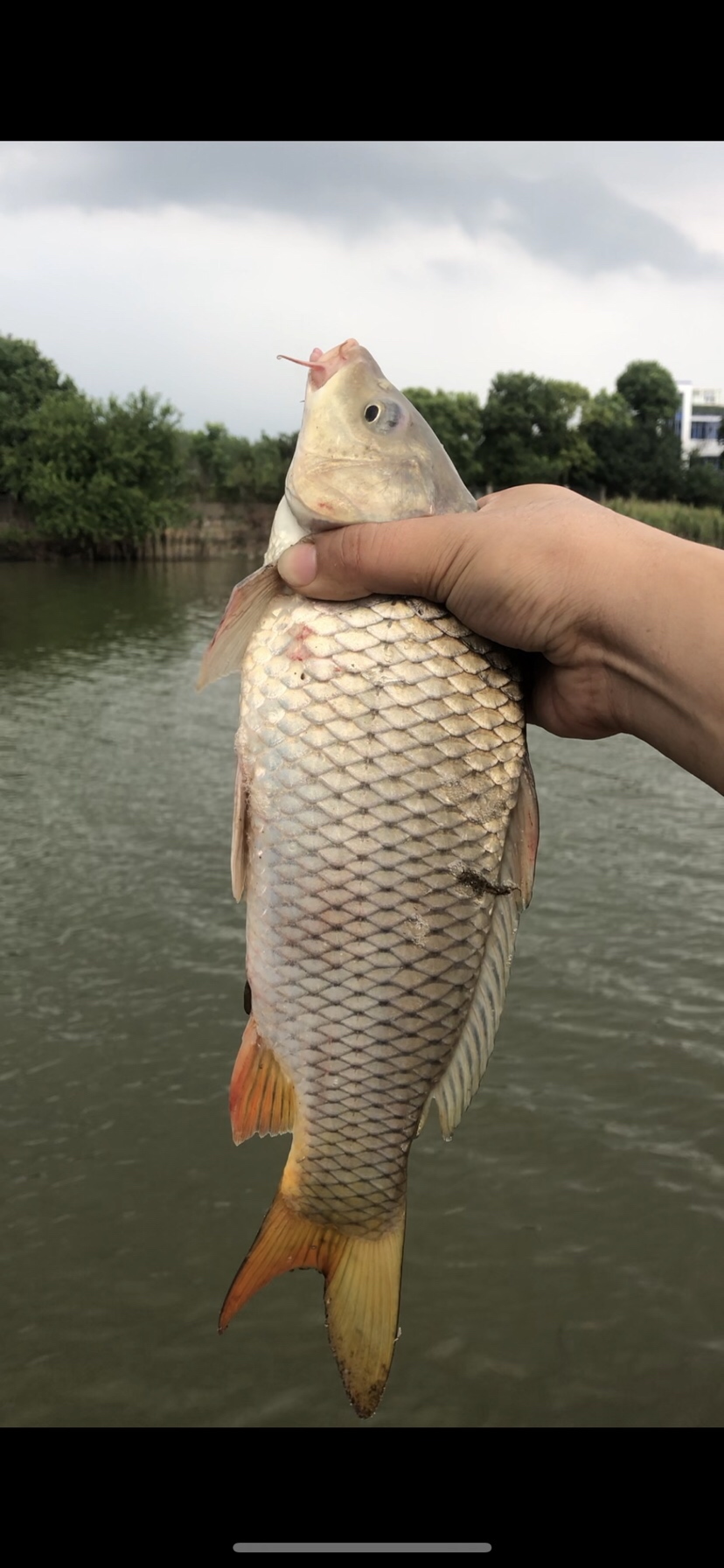 大风大浪钓大鱼完整视频,大风大浪钓大鱼是真的吗