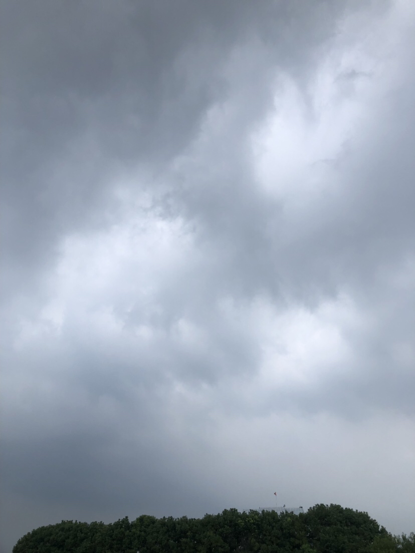 大风大浪钓大鱼完整视频,大风大浪钓大鱼是真的吗