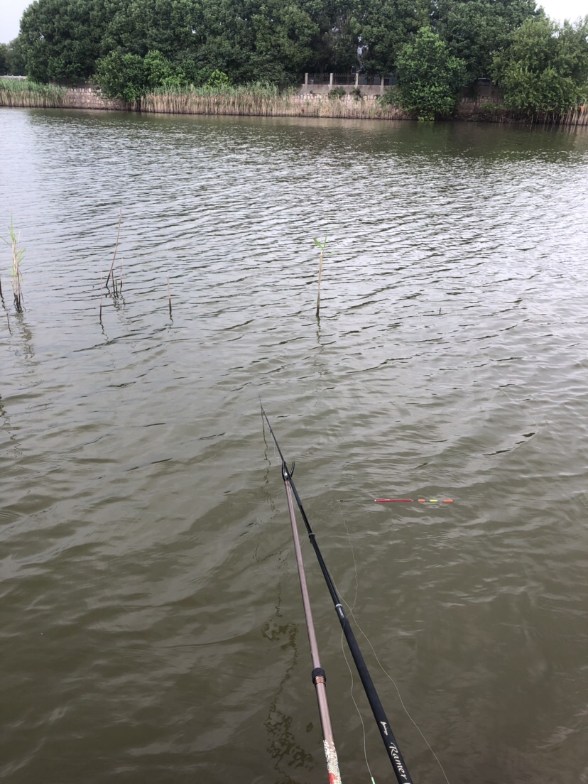 大风大浪钓大鱼完整视频,大风大浪钓大鱼是真的吗