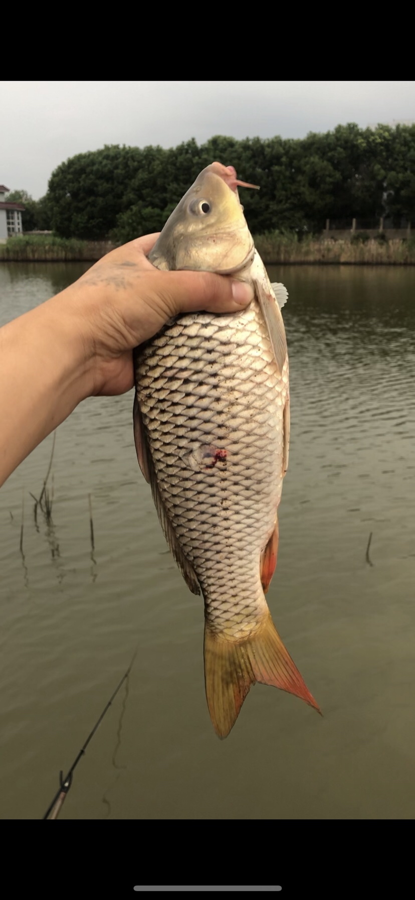 大风大浪钓大鱼完整视频,大风大浪钓大鱼是真的吗