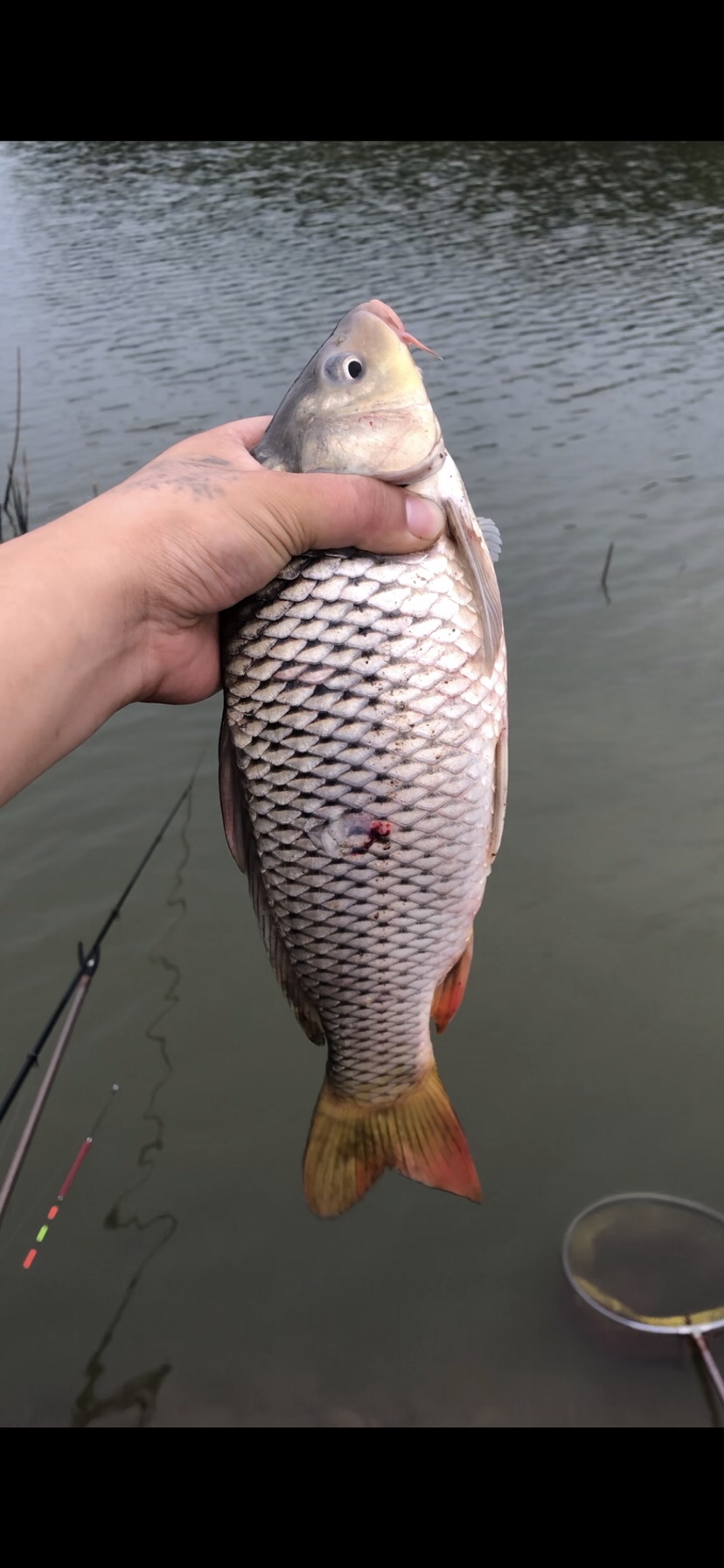 大风大浪钓大鱼完整视频,大风大浪钓大鱼是真的吗