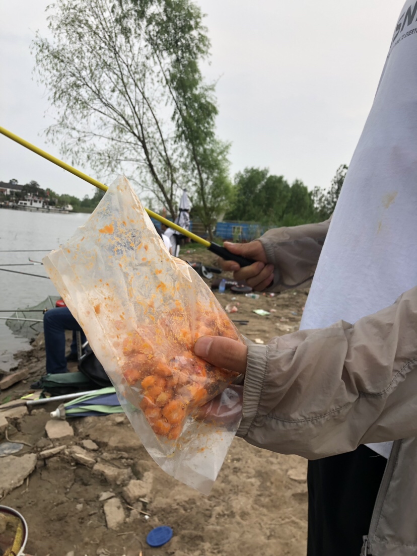 大风大浪钓大鱼完整视频,大风大浪钓大鱼是真的吗