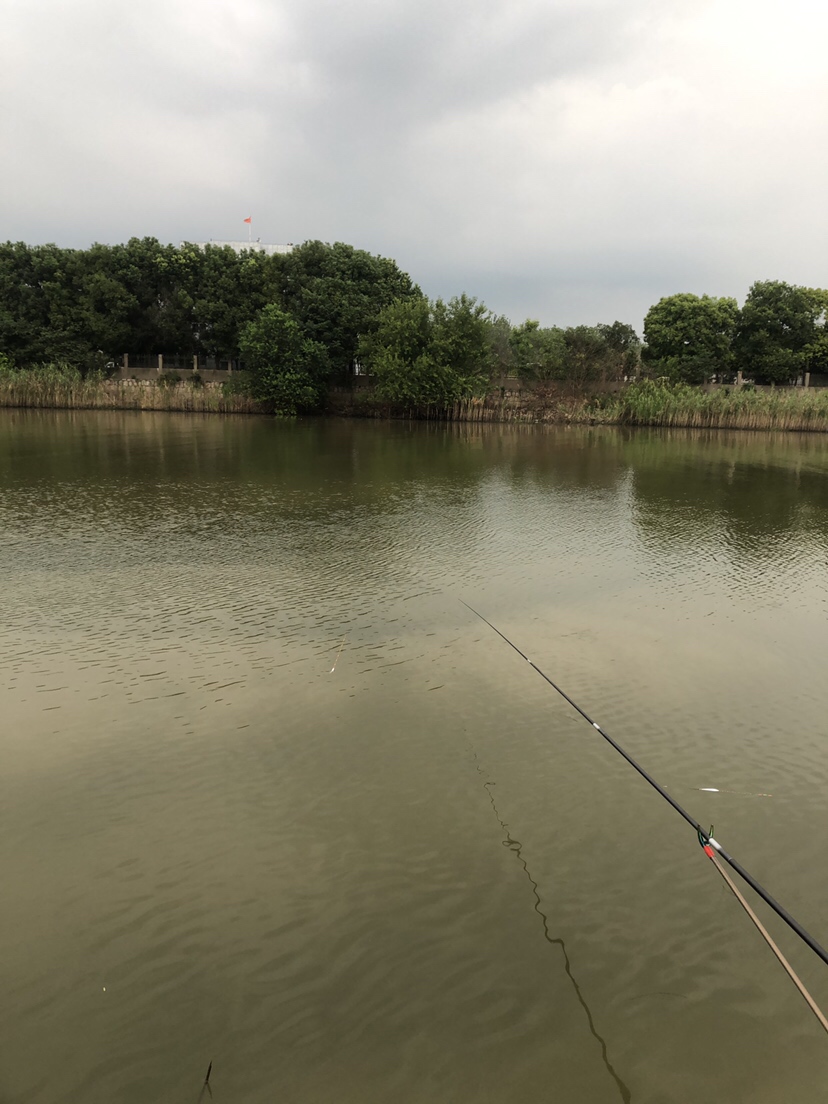 大风大浪钓大鱼完整视频,大风大浪钓大鱼是真的吗