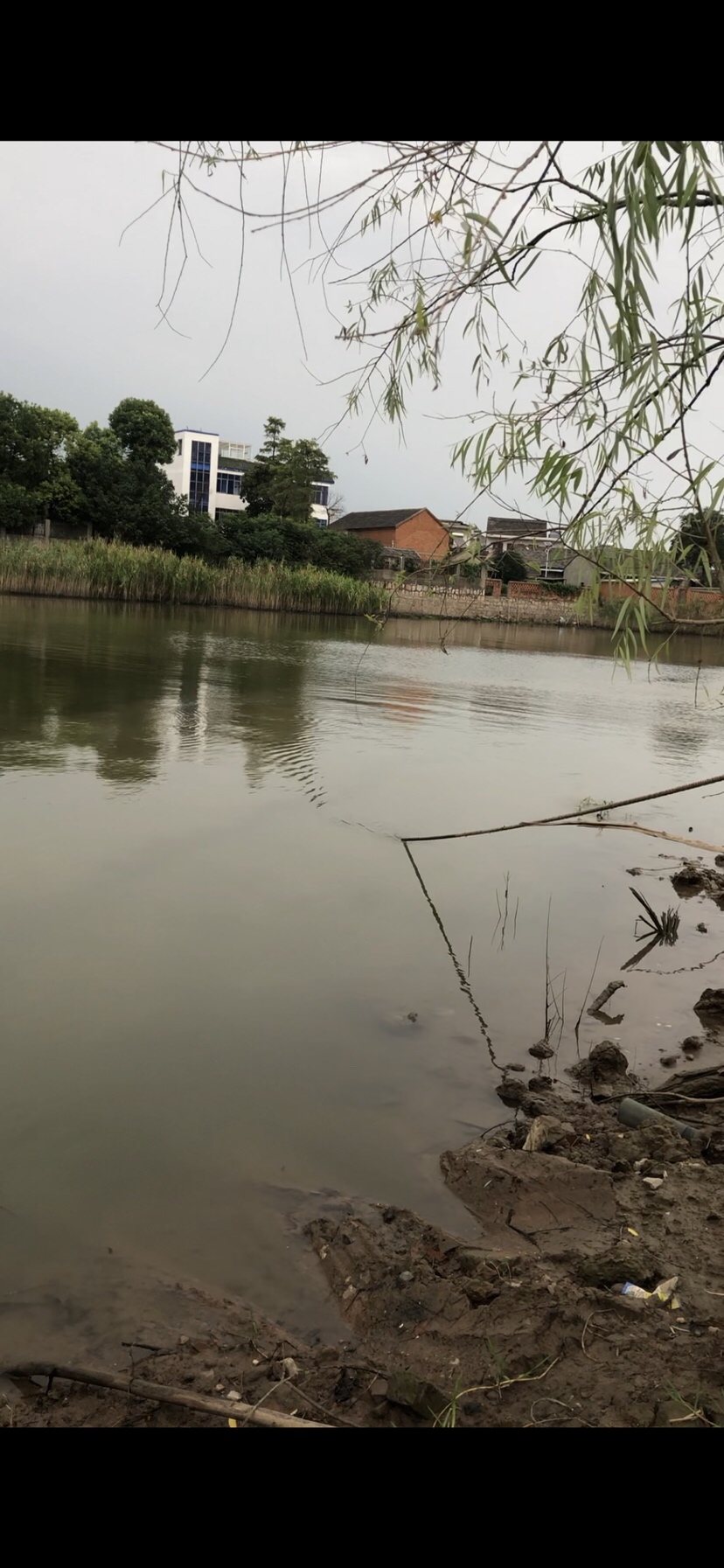 大风大浪钓大鱼完整视频,大风大浪钓大鱼是真的吗