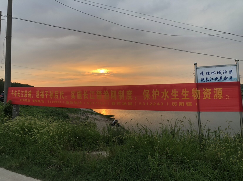 大风大浪钓大鱼完整视频,大风大浪钓大鱼是真的吗