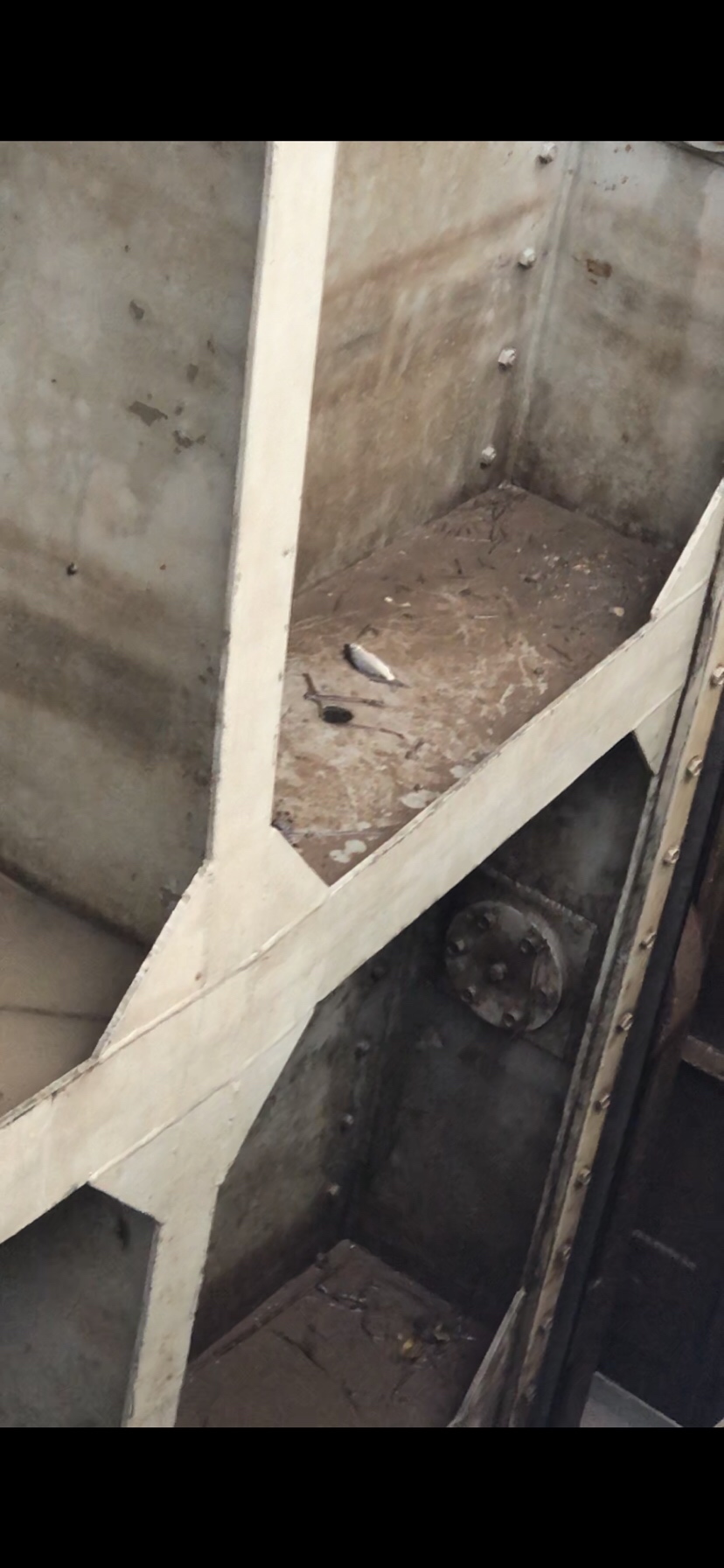 大风大浪钓大鱼完整视频,大风大浪钓大鱼是真的吗