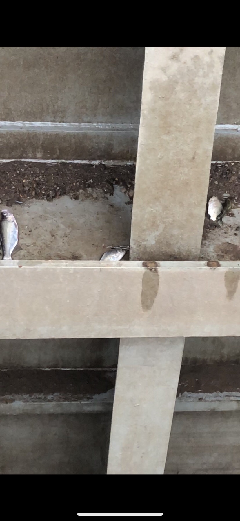 大风大浪钓大鱼完整视频,大风大浪钓大鱼是真的吗