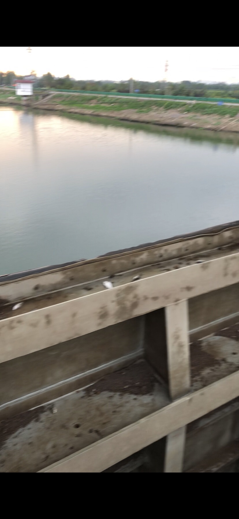 大风大浪钓大鱼完整视频,大风大浪钓大鱼是真的吗