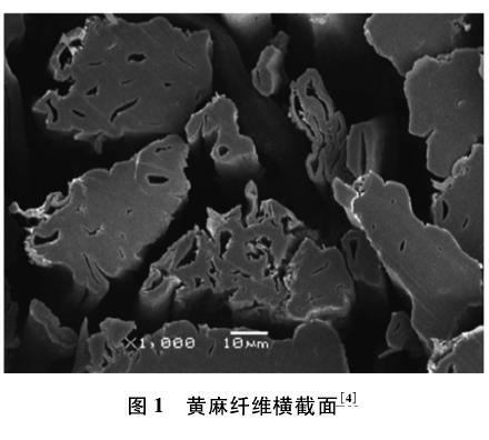 纯棉袜子怎么才能耐穿,什么材质的袜子适合夏天穿不臭脚