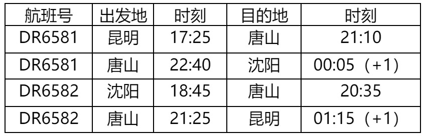 瑞丽航空沈阳分公司,瑞丽航空国际航线