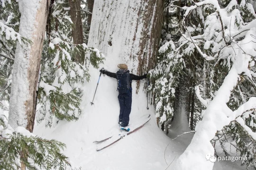 为什么Patagonia常年奔走于保护公共土地的战斗中？