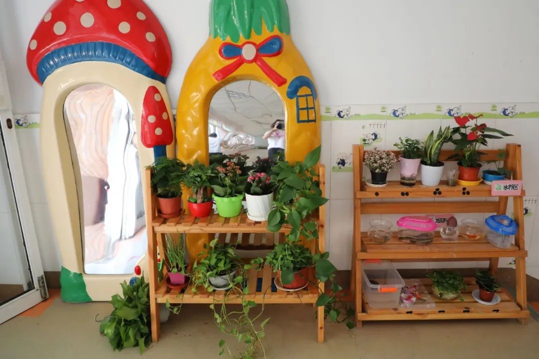 新场镇生活日记,新场古镇的抖音生活日记