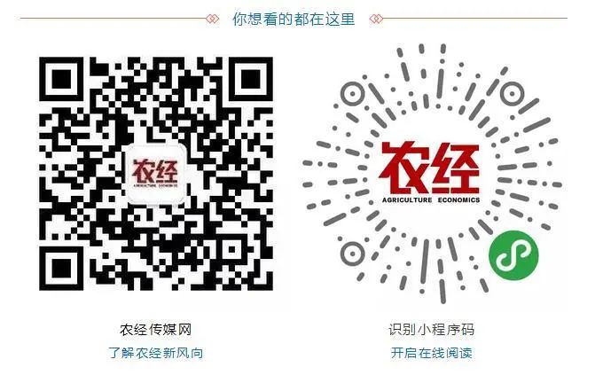 敦煌种业定增何时完成,敦煌种业大涨原因