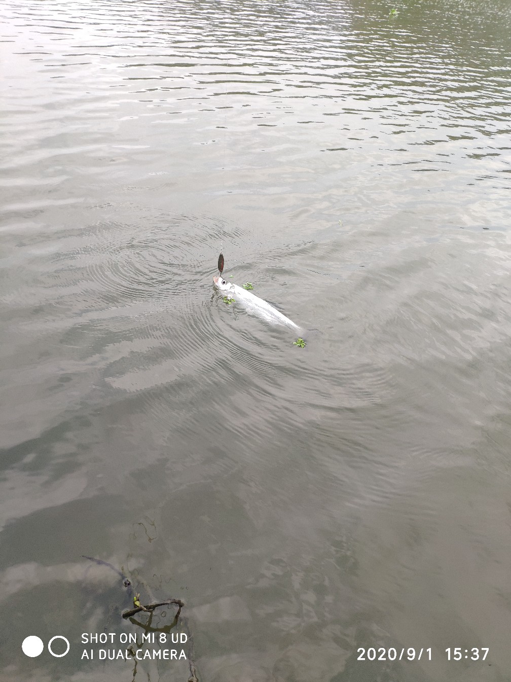 路亚铅头钩实用操作手法,路亚铅头钩零基础教学