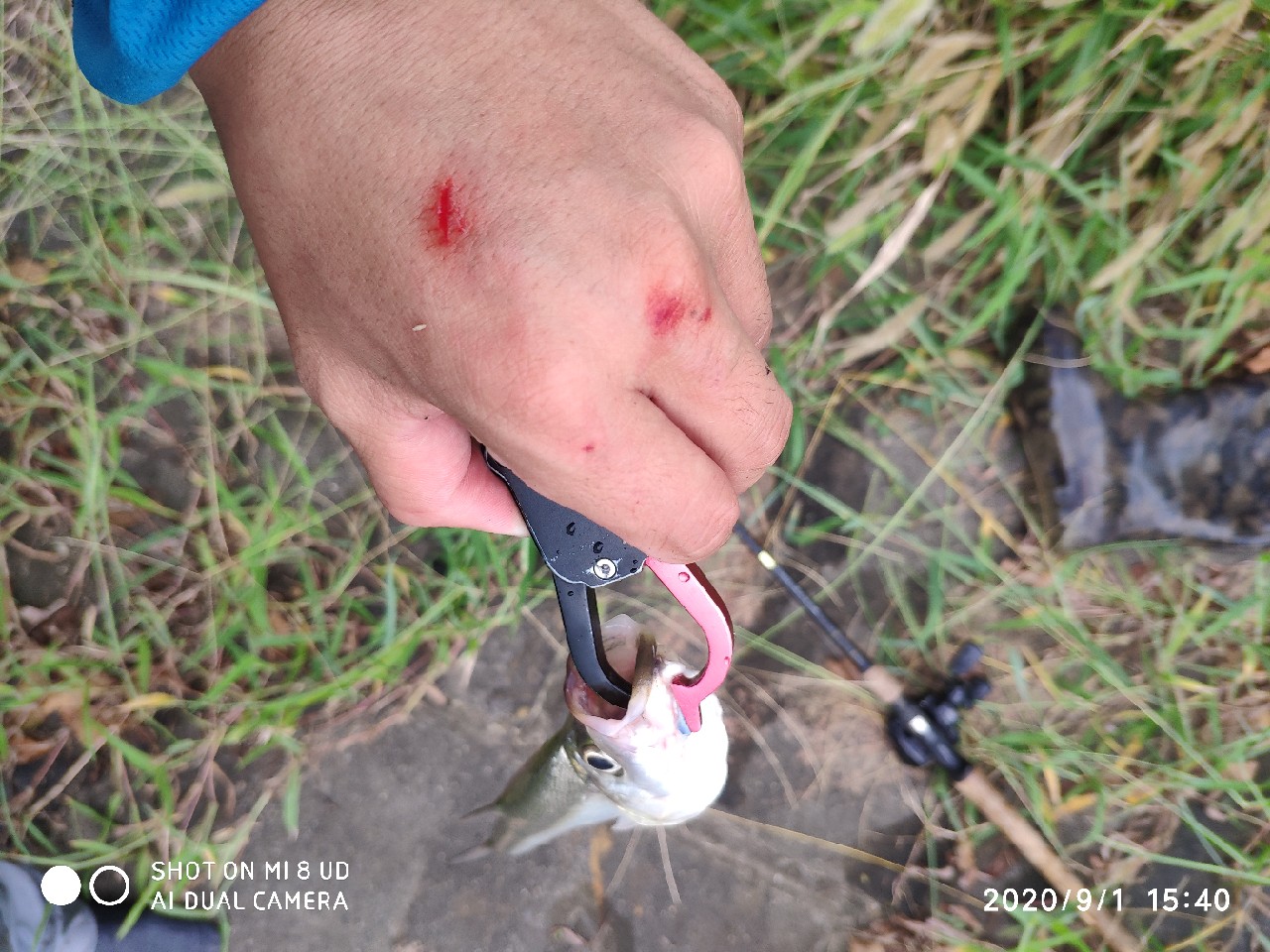 路亚铅头钩实用操作手法,路亚铅头钩零基础教学