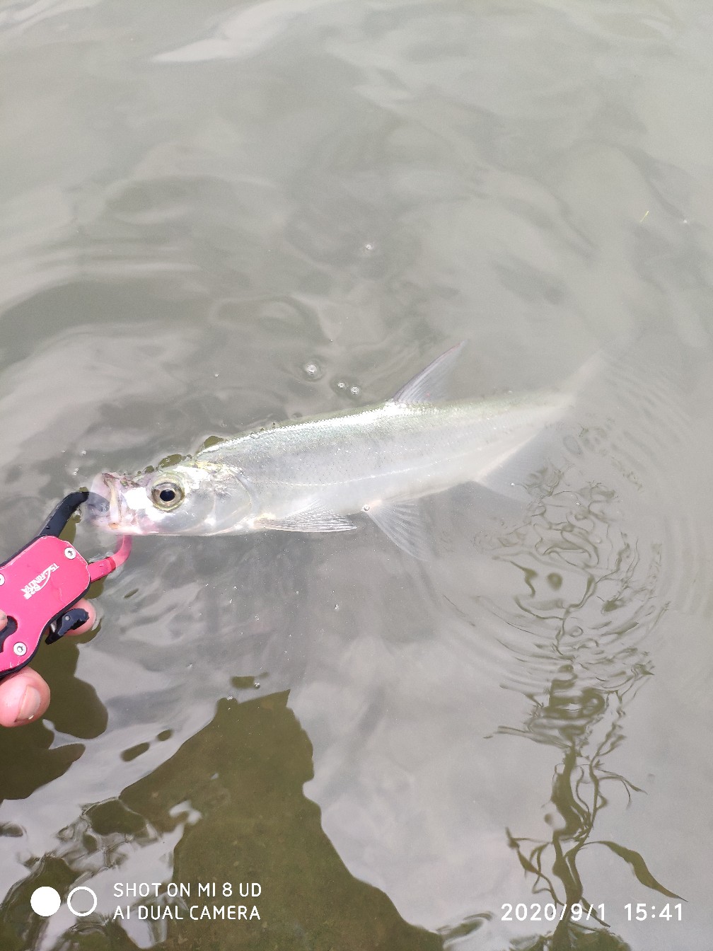 路亚铅头钩实用操作手法,路亚铅头钩零基础教学