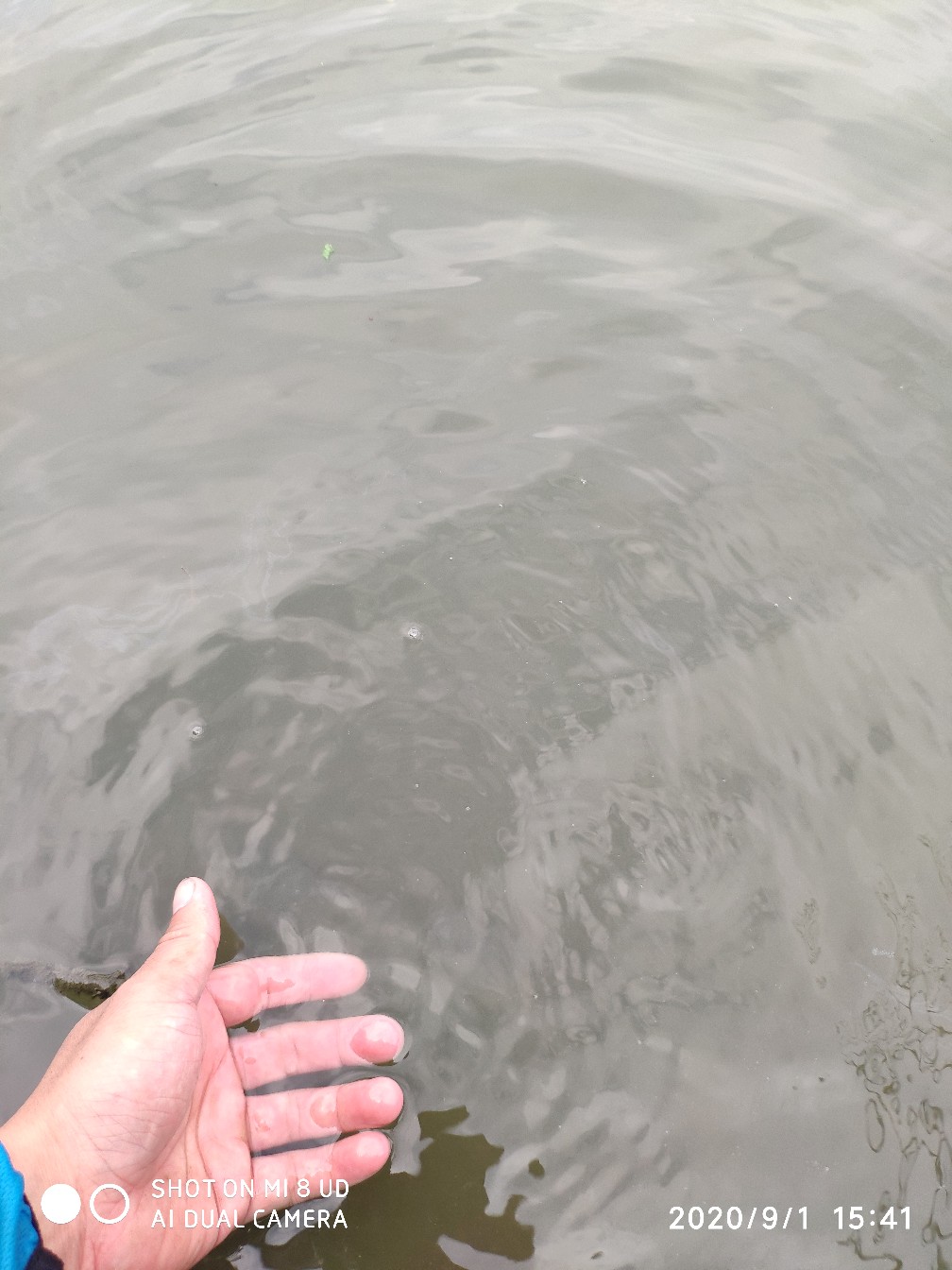 路亚铅头钩实用操作手法,路亚铅头钩零基础教学