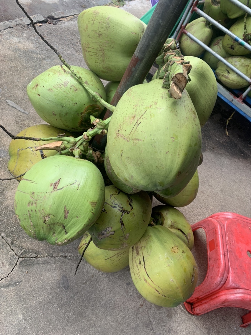 南海漂流怎么样,佛山海钓野钓