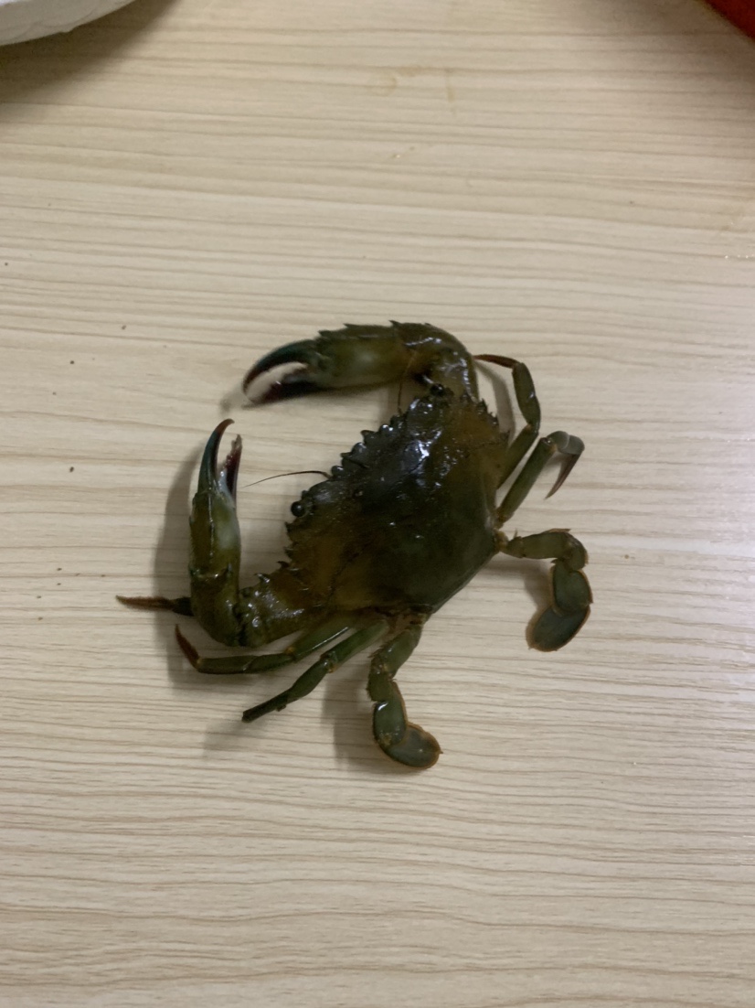 南海漂流怎么样,佛山海钓野钓