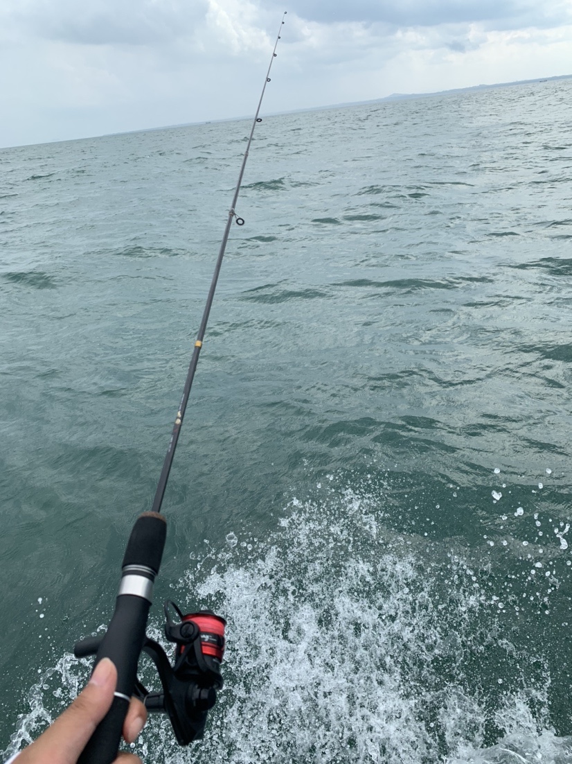 南海漂流怎么样,佛山海钓野钓