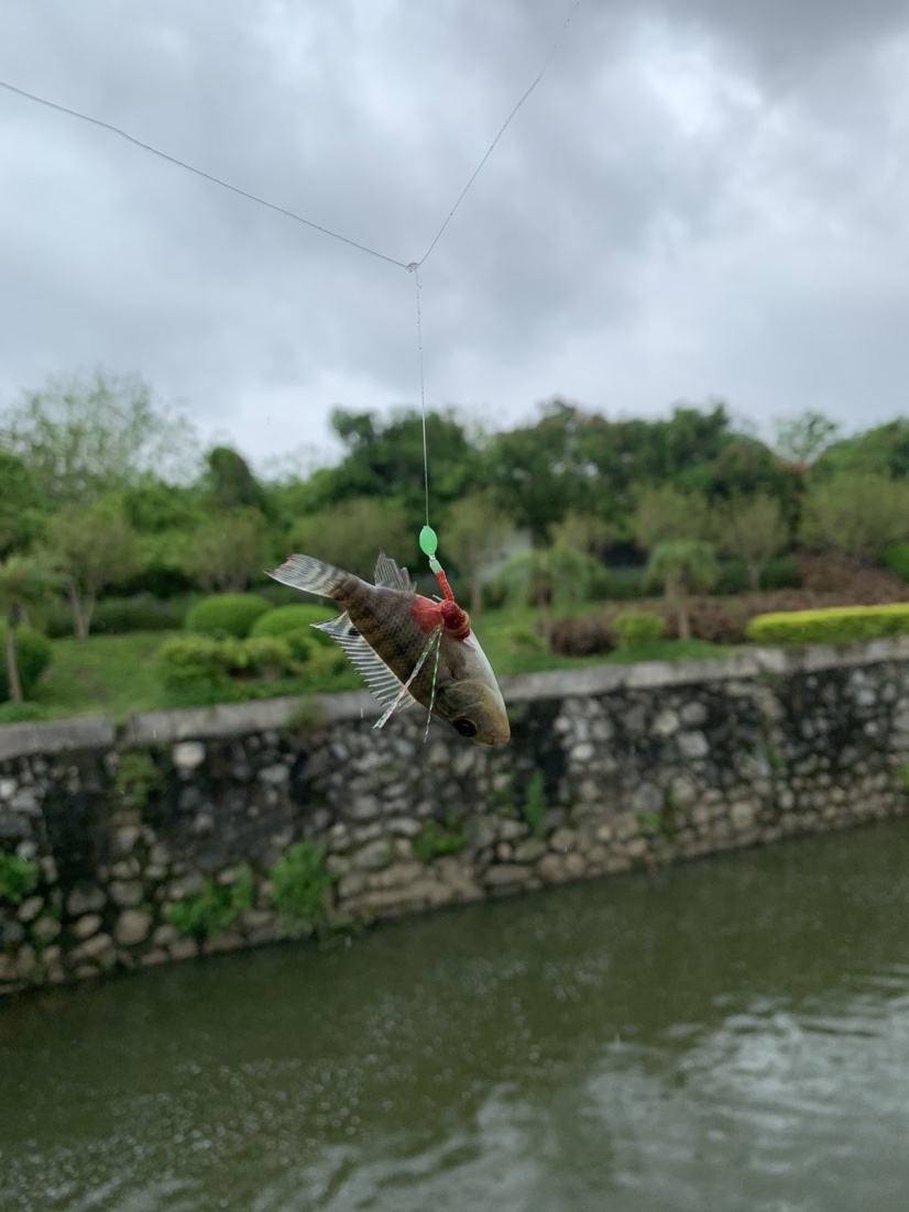 南海漂流怎么样,佛山海钓野钓