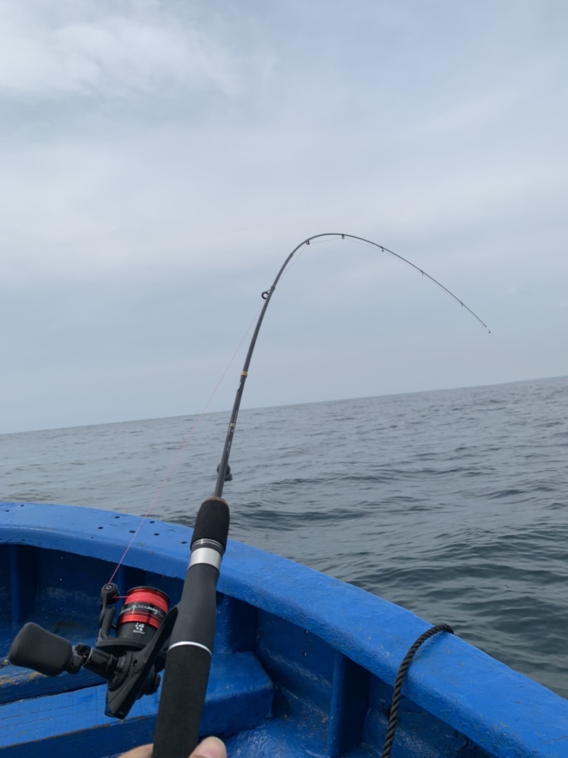 南海漂流怎么样,佛山海钓野钓