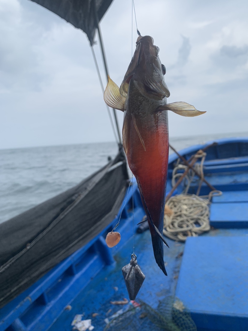 南海漂流怎么样,佛山海钓野钓