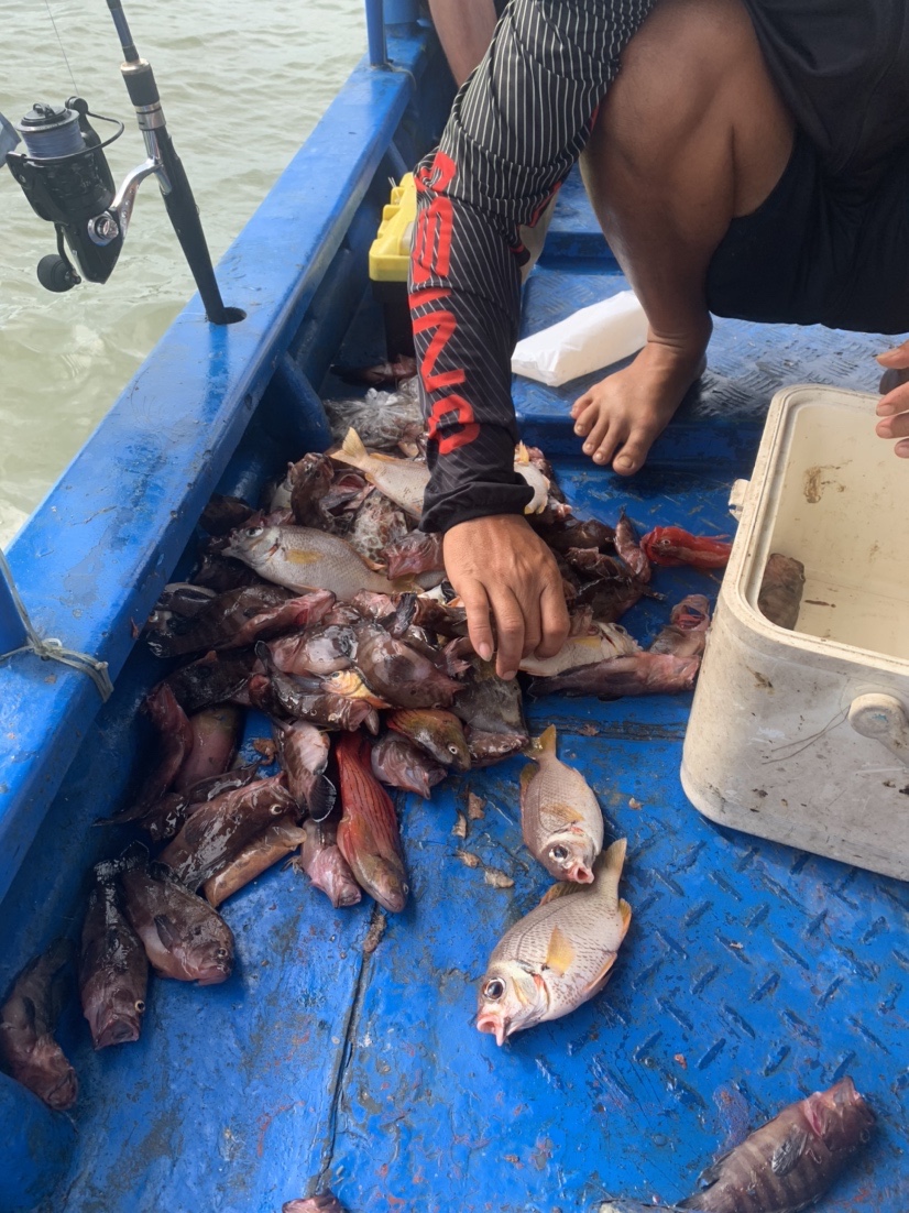 南海漂流怎么样,佛山海钓野钓