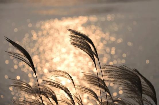 庆祝抗战胜利的自创诗词,抗战胜利76周年的古诗