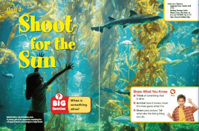 别再乱报班！3位妈妈现身说法，帮你深扒下这个在线英语课