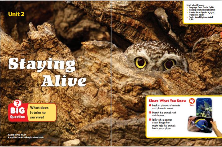 别再乱报班！3位妈妈现身说法，帮你深扒下这个在线英语课