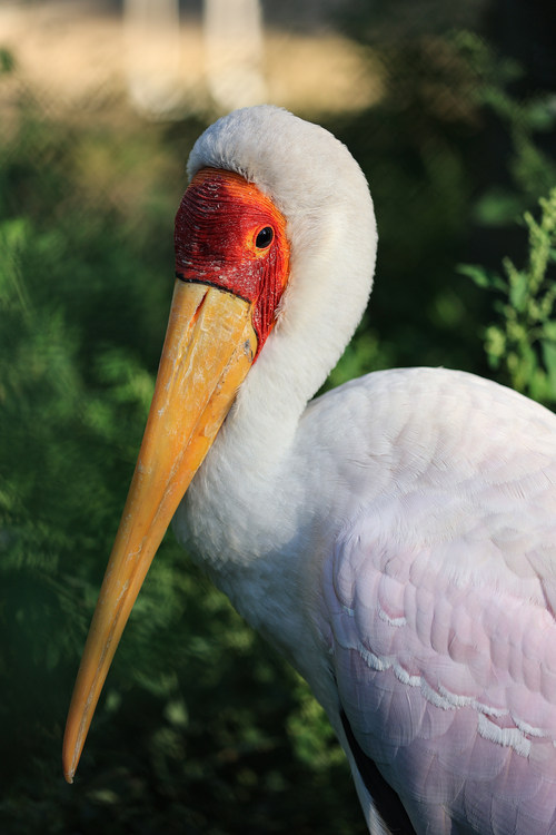 比肩eosr的相机,比佳能r6好的相机推荐